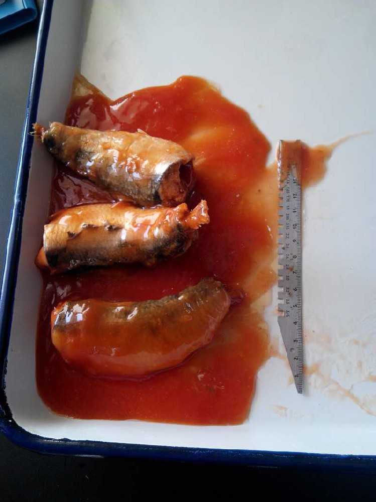 Canned Sardines in Tomato Souce